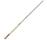 Sage Sonic - casapintat - SAGE